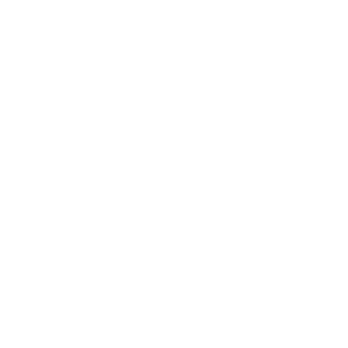 Frontline Security Logo