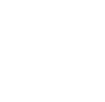 LIVIT Logo